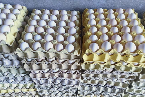 扬州营养钢化蛋批发多少钱一个价格如何计算 多图